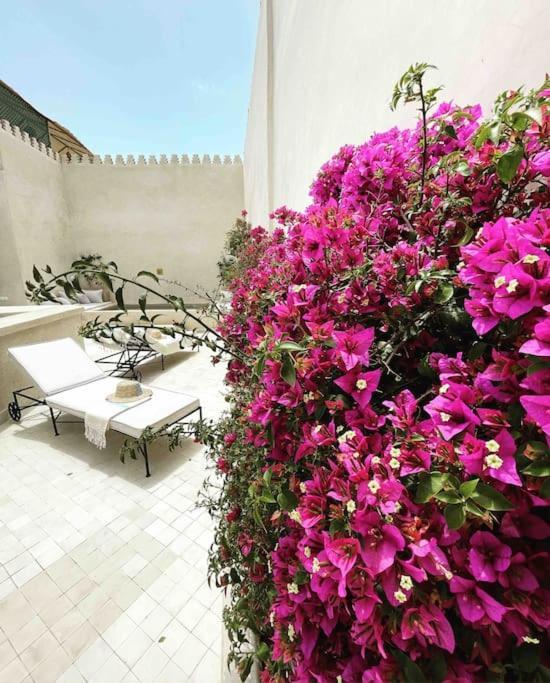Riad Vivre - Design Boutique Riad In Marrakech Marrakesh Buitenkant foto